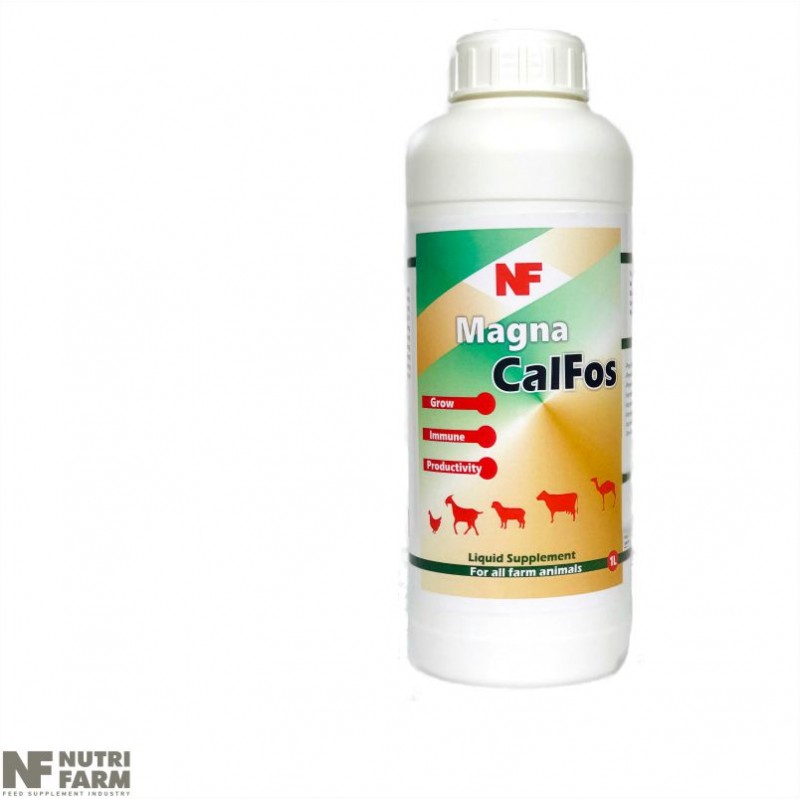 MAGNA CALFOS liquid supplement for all farm animals  Grow-Immune-Productivity