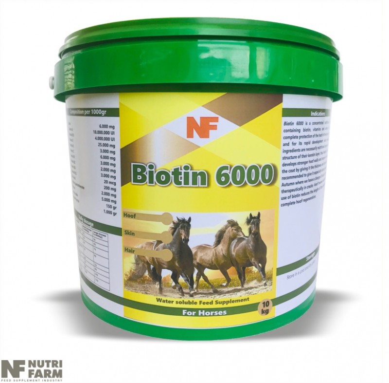 BIOTIN 6000WATER SOLUBLE SUP.Protection-Rapid development-Regeneration of hoof, skin & hair