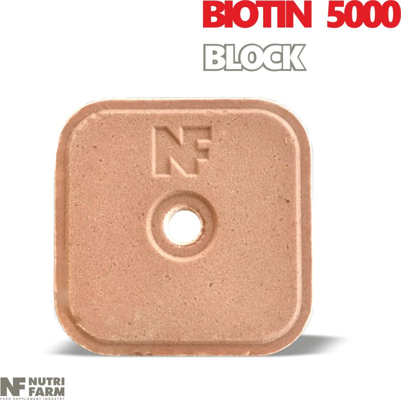 LICKING BLOCK BIOTIN 5000Vitamins, Minerals & Biotin