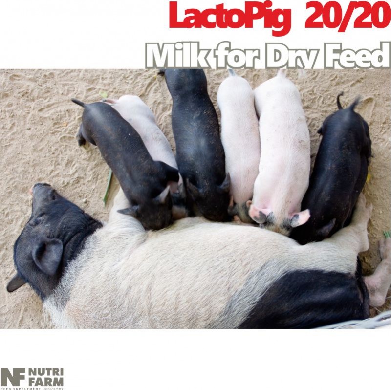 LactoPig 20/20 Milk for Dry Feed