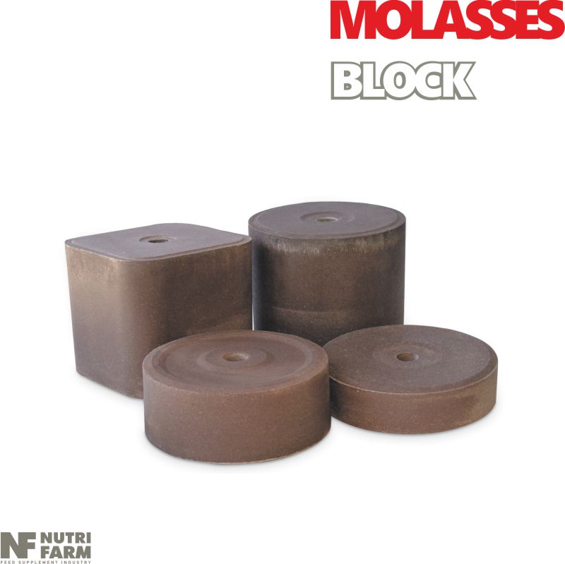 MOLASSES LICKING BLOCKMinerals & Molasses