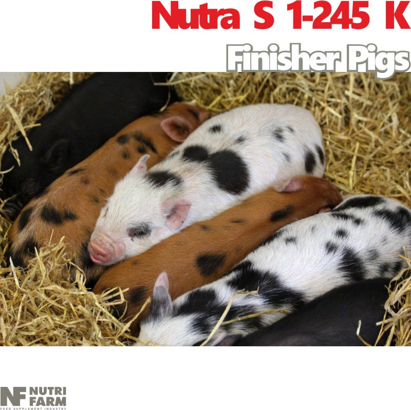 Nutra S 1-245 K Finisher Pigs