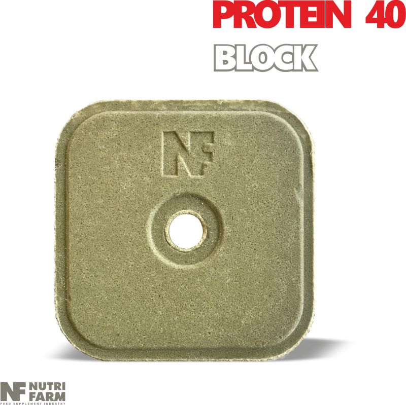 PROTEIN 40 LICKING BLOCKVitamins & MineralsProtein augmentation