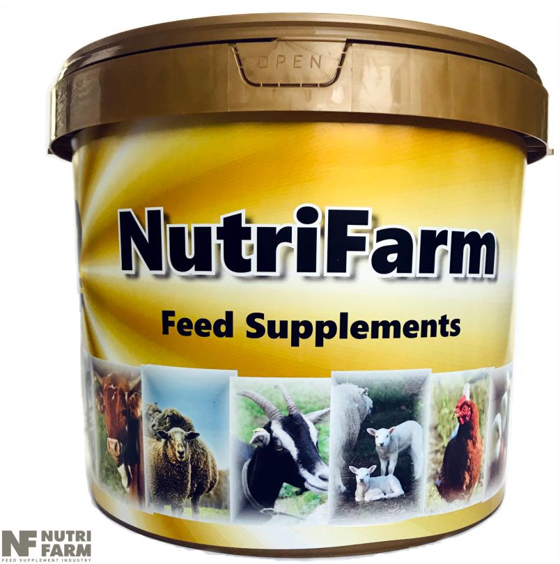 FEED SUPPLEMENTS